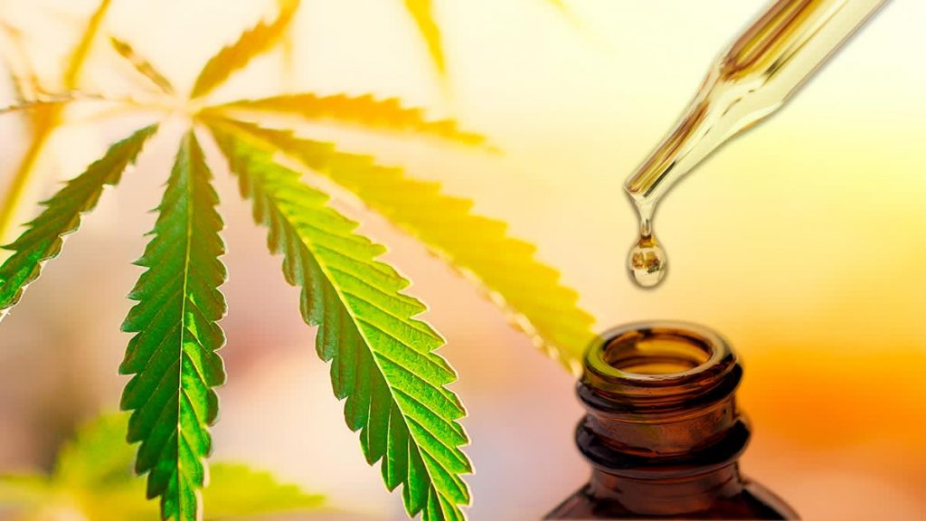 CBD Oil