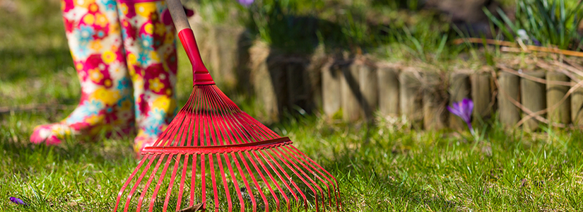 Lawn Care