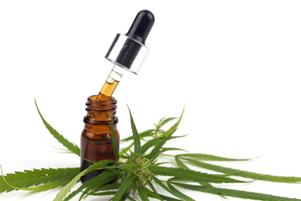 cbd oil for cats