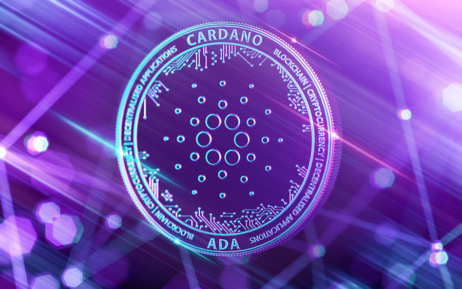 cardano stake pool