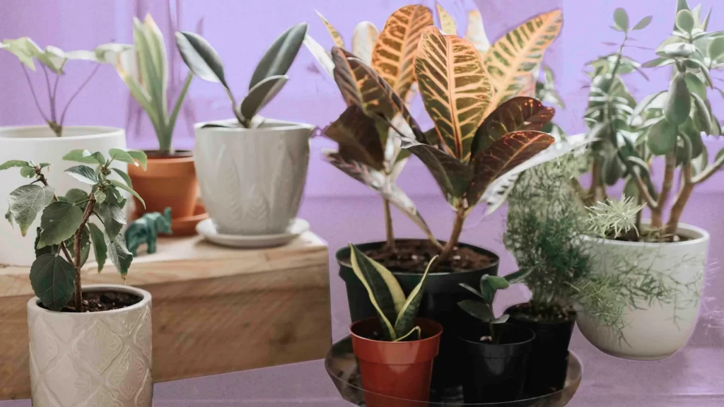 plant room London
