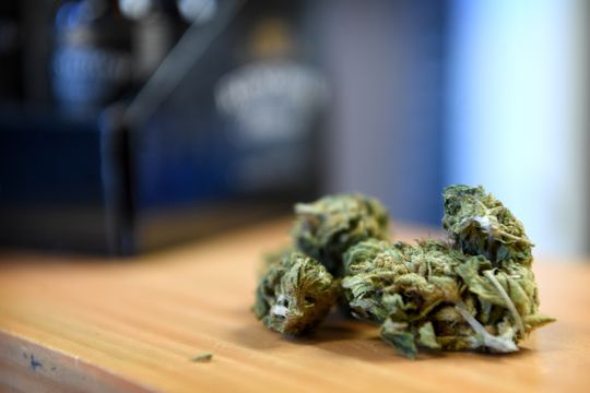CBD Flower